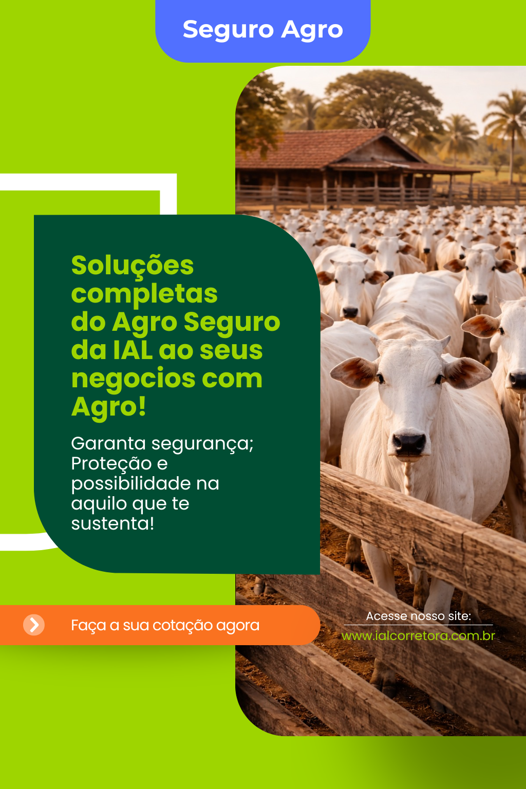 Solidez e segurança