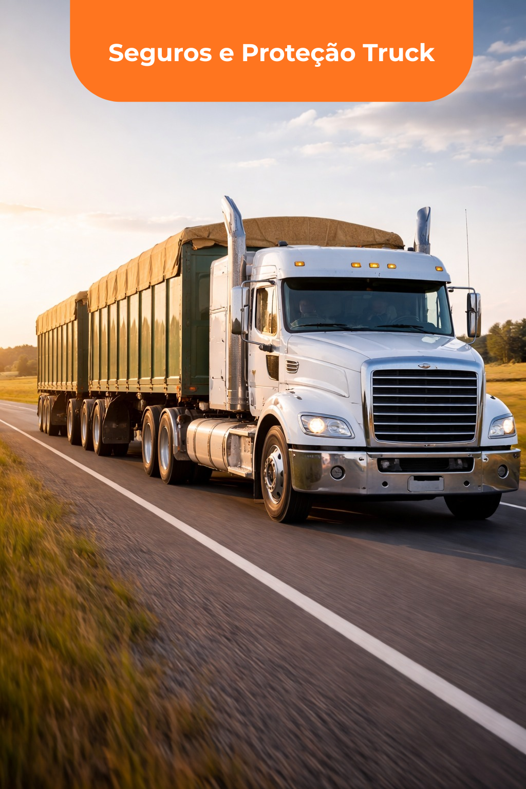 Segmentos de atuação